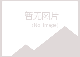 陕西夏岚会计有限公司